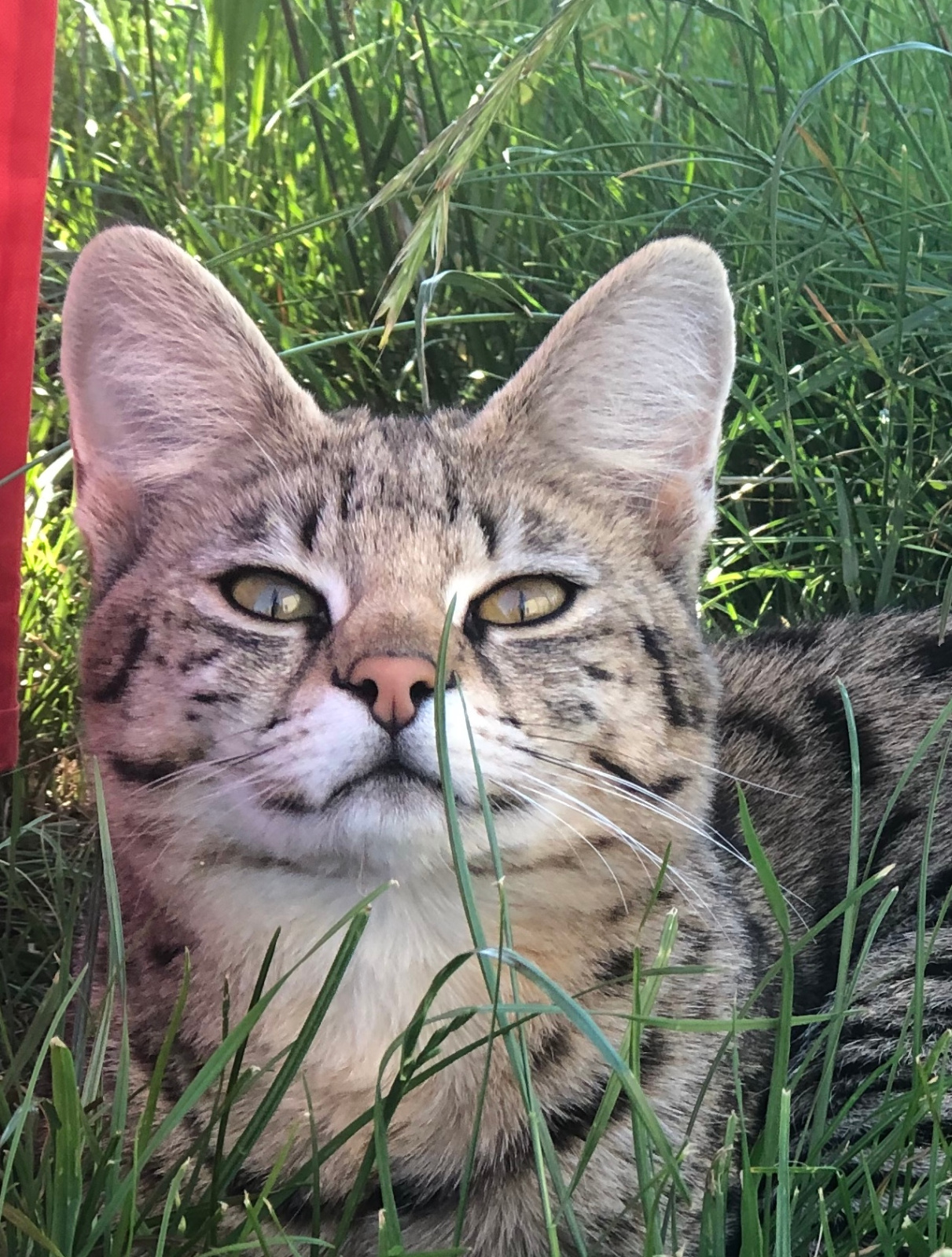 2019 06 02 18.29.19 1